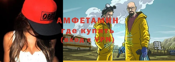 крисы Бородино