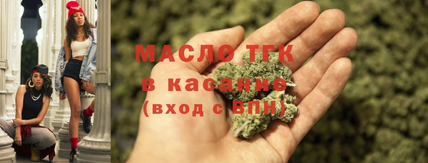 крисы Бородино