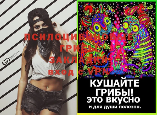 2c-b Бронницы