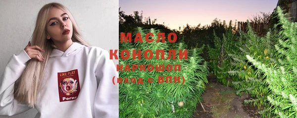 крисы Бородино