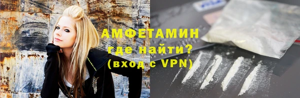 крисы Бородино