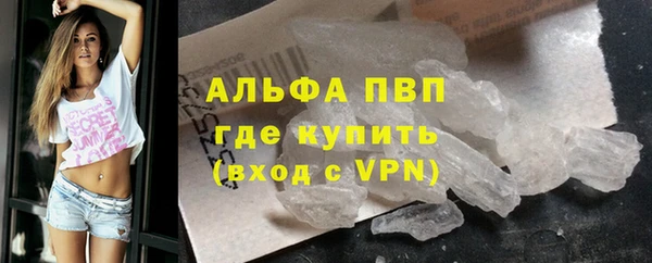 крисы Бородино